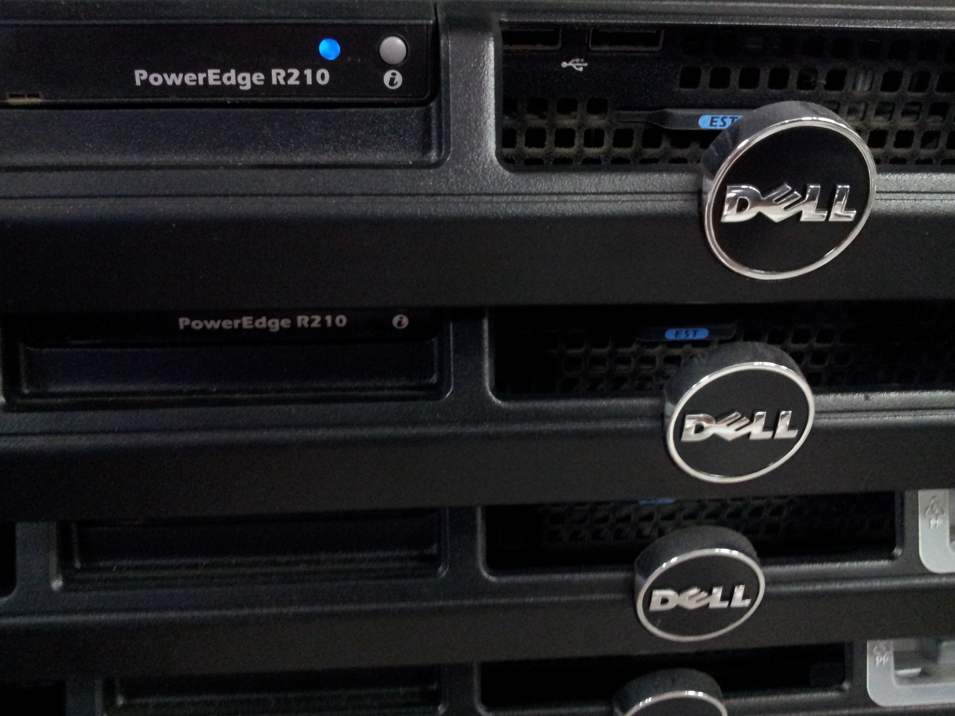 DELL PowerEdge R210 1U Server