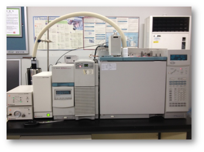 원소- 열분해 가스크로마토그라프/질량분석기